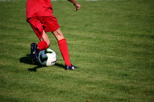 爱游戏官网充值-青训球员选拔机制存在结构性偏见，青训选拔喜欢那种球员